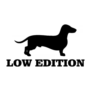 Polep vozidla SAMOLEPKA Low edition pravá nápis (01 - černá) NA AUTO, NÁLEPKA, FÓLIE, POLEP, TUNING, VLASTNÍ TEXT, TISK, AUTOSAMOLEPKY.cz, POLEPY, OBRÁZEK, LOGO, SAMOLEPKY