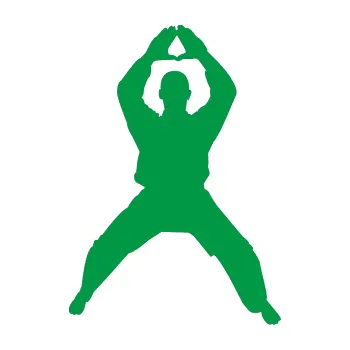 Polep vozidla Karate 003 pravá (12 - zelená) SAMOLEPKA NA AUTO, NÁLEPKA, FÓLIE, POLEP, TUNING, VLASTNÍ TEXT, TISK, AUTOSAMOLEPKY.cz, POLEPY, OBRÁZEK, LOGO, 3D STICKERS