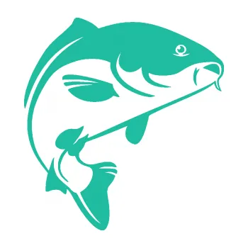 Polep vozidla SAMOLEPKA Kapr 005 pravá (25 - tyrkysová) NA AUTO, NÁLEPKA, FÓLIE, POLEP, TUNING, VLASTNÍ TEXT, TISK, AUTOSAMOLEPKY.cz, POLEPY, OBRÁZEK, LOGO, SAMOLEPKY