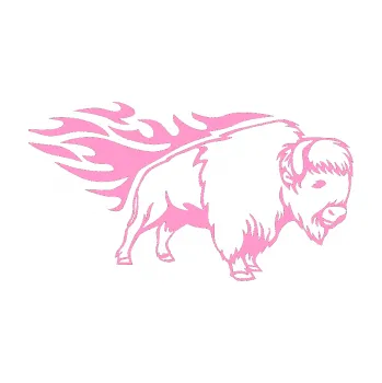 Samolepicí dekorace na vozidlo Animal flames 077 pravá býk (24 - světle růžová) SAMOLEPKA NA AUTO, NÁLEPKA, FÓLIE, POLEP, TUNING, VLASTNÍ TEXT, TISK, AUTOSAMOLEPKY.cz, POLEPY, OBRÁZEK, LOGO, 3D STICKERS