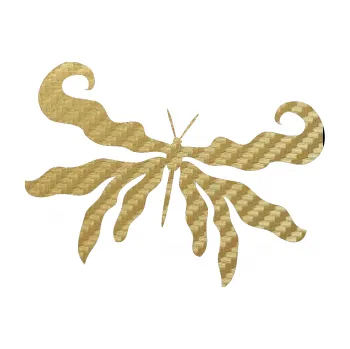 Samolepící dekorace Motýl 004 pravá (59 - 3D karbon zlatý) SAMOLEPKA NA AUTO, NÁLEPKA, FÓLIE, POLEP, TUNING, VLASTNÍ TEXT, TISK, AUTOSAMOLEPKY.cz, POLEPY, OBRÁZEK, LOGO, 3D STICKERS