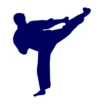 Polep vozidla Karate 008 pravá (23 - tmavě modrá) SAMOLEPKA NA AUTO, NÁLEPKA, FÓLIE, POLEP, TUNING, VLASTNÍ TEXT, TISK, AUTOSAMOLEPKY.cz, POLEPY, OBRÁZEK, LOGO, 3D STICKERS