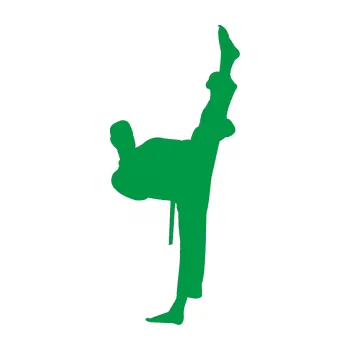 Polep vozidla Karate 005 pravá (12 - zelená) SAMOLEPKA NA AUTO, NÁLEPKA, FÓLIE, POLEP, TUNING, VLASTNÍ TEXT, TISK, AUTOSAMOLEPKY.cz, POLEPY, OBRÁZEK, LOGO, 3D STICKERS