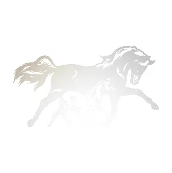 Samolepící dekorace SAMOLEPKA Koníci 003 pravá kobylka s hříbětem (82 - odrazková reflexní bílá) NA AUTO, NÁLEPKA, FÓLIE, POLEP, TUNING, VLASTNÍ TEXT, TISK, AUTOSAMOLEPKY.cz, POLEPY, OBRÁZEK, LOGO, SAMOLEPKY