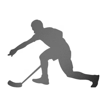 Samolepicí dekorace na vozidlo Florbal 005 levá (41 - grafitová metalíza) SAMOLEPKA NA AUTO, NÁLEPKA, FÓLIE, POLEP, TUNING, VLASTNÍ TEXT, TISK, AUTOSAMOLEPKY.cz, POLEPY, OBRÁZEK, LOGO, 3D STICKERS