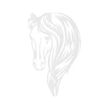 Samolepící dekorace SAMOLEPKA Kůň 064 levá s hřívou (84 - Ultra Metalic bílá) NA AUTO, NÁLEPKA, FÓLIE, POLEP, TUNING, VLASTNÍ TEXT, TISK, AUTOSAMOLEPKY.cz, POLEPY, OBRÁZEK, LOGO, SAMOLEPKY