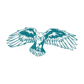 Samolepicí dekorace na vozidlo Predators 077 pravá sova (92 - Ultra Metalic tyrkysová) SAMOLEPKA NA AUTO, NÁLEPKA, FÓLIE, POLEP, TUNING, VLASTNÍ TEXT, TISK, AUTOSAMOLEPKY.cz, POLEPY, OBRÁZEK, LOGO, 3D STICKERS