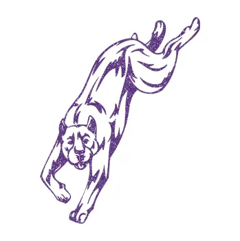 Polep vozidla SAMOLEPKA Pes 008 levá Pitbull (87 - Ultra Metalic fialová) NA AUTO, NÁLEPKA, FÓLIE, POLEP, TUNING, VLASTNÍ TEXT, TISK, AUTOSAMOLEPKY.cz, POLEPY, OBRÁZEK, LOGO, SAMOLEPKY