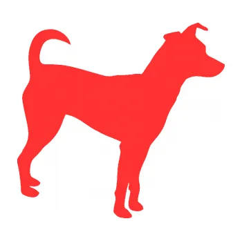 Polep vozidla SAMOLEPKA Pes 100 pravá Pražský krysařík (02 - světle červená) NA AUTO, NÁLEPKA, FÓLIE, POLEP, TUNING, VLASTNÍ TEXT, TISK, AUTOSAMOLEPKY.cz, POLEPY, OBRÁZEK, LOGO, SAMOLEPKY