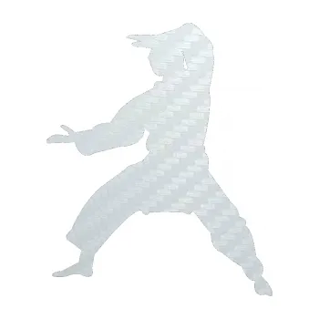 Polep vozidla SAMOLEPKA Karate 006 levá (51 - 3D karbon bílý) NA AUTO, NÁLEPKA, FÓLIE, POLEP, TUNING, VLASTNÍ TEXT, TISK, AUTOSAMOLEPKY.cz, POLEPY, OBRÁZEK, LOGO, SAMOLEPKY