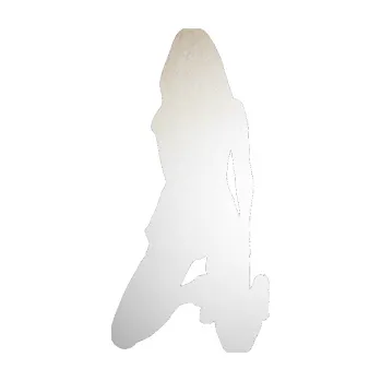 Polep vozidla Erotická žena 014 levá (82 - odrazková reflexní bílá) SAMOLEPKA NA AUTO, NÁLEPKA, FÓLIE, POLEP, TUNING, VLASTNÍ TEXT, TISK, AUTOSAMOLEPKY.cz, POLEPY, OBRÁZEK, LOGO, 3D STICKERS