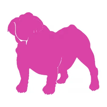 Polep vozidla SAMOLEPKA Pes 089 levá Buldok (16 - růžová) NA AUTO, NÁLEPKA, FÓLIE, POLEP, TUNING, VLASTNÍ TEXT, TISK, AUTOSAMOLEPKY.cz, POLEPY, OBRÁZEK, LOGO, SAMOLEPKY