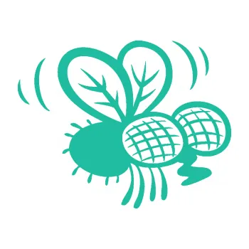 Samolepící dekorace SAMOLEPKA Moucha 002 pravá (25 - tyrkysová) NA AUTO, NÁLEPKA, FÓLIE, POLEP, TUNING, VLASTNÍ TEXT, TISK, AUTOSAMOLEPKY.cz, POLEPY, OBRÁZEK, LOGO, SAMOLEPKY