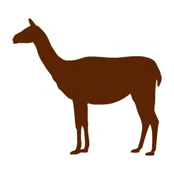 Samolepící dekorace Lama 001 levá (15 - hnědá) SAMOLEPKA NA AUTO, NÁLEPKA, FÓLIE, POLEP, TUNING, VLASTNÍ TEXT, TISK, AUTOSAMOLEPKY.cz, POLEPY, OBRÁZEK, LOGO, 3D STICKERS