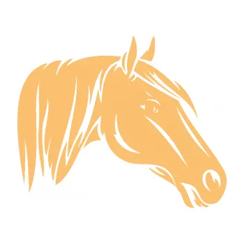 Samolepící dekorace SAMOLEPKA Kůň 065 pravá hlava s hřívou (08 - béžová) NA AUTO, NÁLEPKA, FÓLIE, POLEP, TUNING, VLASTNÍ TEXT, TISK, AUTOSAMOLEPKY.cz, POLEPY, OBRÁZEK, LOGO, SAMOLEPKY