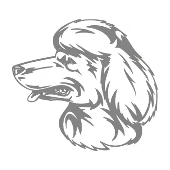 samolepka Pes 013 levá Pudl (17 - šedá) SAMOLEPKA NA AUTO, NÁLEPKA, FÓLIE, POLEP, TUNING, VLASTNÍ TEXT, TISK, AUTOSAMOLEPKY.cz, POLEPY, OBRÁZEK, LOGO, 3D STICKERS