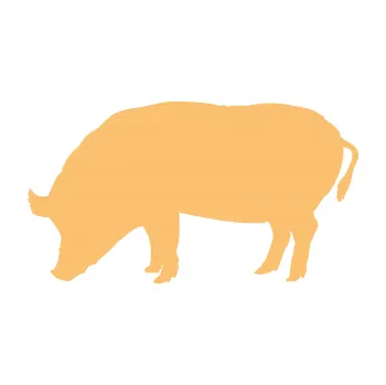 Samolepící dekorace Prase 004 levá (08 - béžová) SAMOLEPKA NA AUTO, NÁLEPKA, FÓLIE, POLEP, TUNING, VLASTNÍ TEXT, TISK, AUTOSAMOLEPKY.cz, POLEPY, OBRÁZEK, LOGO, 3D STICKERS