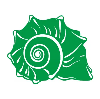 Samolepící dekorace Mušle pravá ulita (12 - zelená) SAMOLEPKA NA AUTO, NÁLEPKA, FÓLIE, POLEP, TUNING, VLASTNÍ TEXT, TISK, AUTOSAMOLEPKY.cz, POLEPY, OBRÁZEK, LOGO, 3D STICKERS