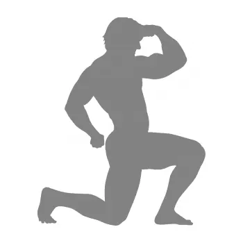 Polep vozidla Kulturista 007 pravá (17 - šedá) SAMOLEPKA NA AUTO, NÁLEPKA, FÓLIE, POLEP, TUNING, VLASTNÍ TEXT, TISK, AUTOSAMOLEPKY.cz, POLEPY, OBRÁZEK, LOGO, 3D STICKERS