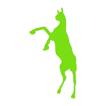 Samolepící dekorace Kůň 016 levá (04 - zelená kawasaki) SAMOLEPKA NA AUTO, NÁLEPKA, FÓLIE, POLEP, TUNING, VLASTNÍ TEXT, TISK, AUTOSAMOLEPKY.cz, POLEPY, OBRÁZEK, LOGO, 3D STICKERS