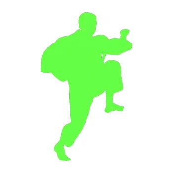 Polep vozidla Karate 007 pravá (71 - Fluorescentní zelená) SAMOLEPKA NA AUTO, NÁLEPKA, FÓLIE, POLEP, TUNING, VLASTNÍ TEXT, TISK, AUTOSAMOLEPKY.cz, POLEPY, OBRÁZEK, LOGO, 3D STICKERS