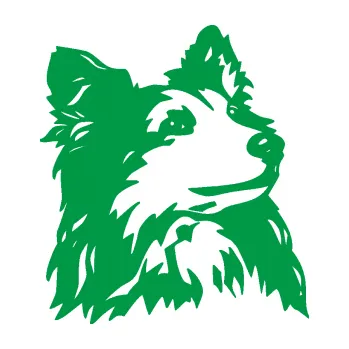 Polep vozidla Pes 141 pravá šeltie (12 - zelená) SAMOLEPKA NA AUTO, NÁLEPKA, FÓLIE, POLEP, TUNING, VLASTNÍ TEXT, TISK, AUTOSAMOLEPKY.cz, POLEPY, OBRÁZEK, LOGO, 3D STICKERS