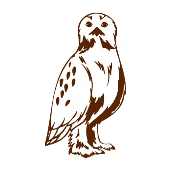 Samolepicí dekorace na vozidlo Predators 061 pravá sova (15 - hnědá) SAMOLEPKA NA AUTO, NÁLEPKA, FÓLIE, POLEP, TUNING, VLASTNÍ TEXT, TISK, AUTOSAMOLEPKY.cz, POLEPY, OBRÁZEK, LOGO, 3D STICKERS