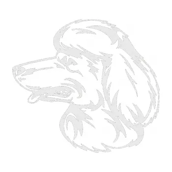 Polep vozidla SAMOLEPKA Pes 013 levá Pudl (84 - Ultra Metalic bílá) NA AUTO, NÁLEPKA, FÓLIE, POLEP, TUNING, VLASTNÍ TEXT, TISK, AUTOSAMOLEPKY.cz, POLEPY, OBRÁZEK, LOGO, SAMOLEPKY