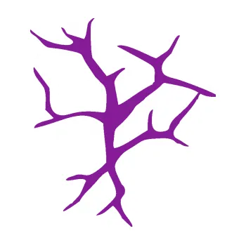 Samolepící dekorace Prasklina 008 (14 - fialová) SAMOLEPKA NA AUTO, NÁLEPKA, FÓLIE, POLEP, TUNING, VLASTNÍ TEXT, TISK, AUTOSAMOLEPKY.cz, POLEPY, OBRÁZEK, LOGO, 3D STICKERS