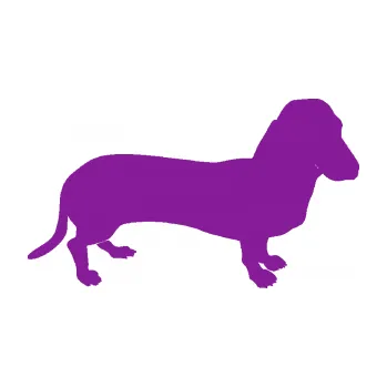 Polep vozidla SAMOLEPKA Pes 094 pravá Baset (14 - fialová) NA AUTO, NÁLEPKA, FÓLIE, POLEP, TUNING, VLASTNÍ TEXT, TISK, AUTOSAMOLEPKY.cz, POLEPY, OBRÁZEK, LOGO, SAMOLEPKY