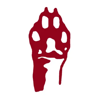 samolepka Packa 001 pravá (07 - bordó vínová) SAMOLEPKA NA AUTO, NÁLEPKA, FÓLIE, POLEP, TUNING, VLASTNÍ TEXT, TISK, AUTOSAMOLEPKY.cz, POLEPY, OBRÁZEK, LOGO, 3D STICKERS