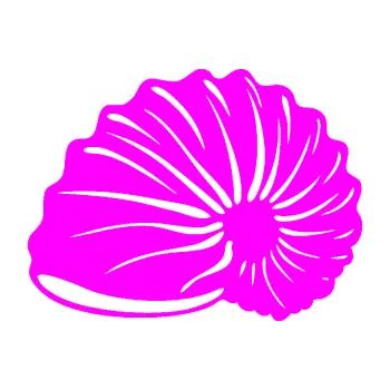 Samolepící dekorace Mušle 002 levá ulita (72 - Fluorescentní růžová) SAMOLEPKA NA AUTO, NÁLEPKA, FÓLIE, POLEP, TUNING, VLASTNÍ TEXT, TISK, AUTOSAMOLEPKY.cz, POLEPY, OBRÁZEK, LOGO, 3D STICKERS