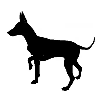 Polep vozidla SAMOLEPKA Pes 093 levá Pražský krysařík (01 - černá) NA AUTO, NÁLEPKA, FÓLIE, POLEP, TUNING, VLASTNÍ TEXT, TISK, AUTOSAMOLEPKY.cz, POLEPY, OBRÁZEK, LOGO, SAMOLEPKY