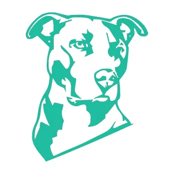 Polep vozidla Pes 054 pravá Pitbull (25 - tyrkysová) SAMOLEPKA NA AUTO, NÁLEPKA, FÓLIE, POLEP, TUNING, VLASTNÍ TEXT, TISK, AUTOSAMOLEPKY.cz, POLEPY, OBRÁZEK, LOGO, 3D STICKERS