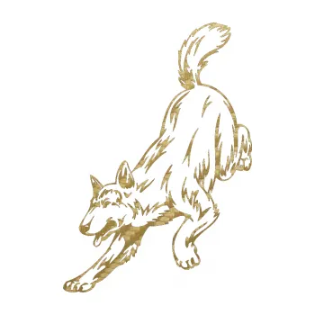 Polep vozidla SAMOLEPKA Pes 024 levá (59 - 3D karbon zlatý) NA AUTO, NÁLEPKA, FÓLIE, POLEP, TUNING, VLASTNÍ TEXT, TISK, AUTOSAMOLEPKY.cz, POLEPY, OBRÁZEK, LOGO, SAMOLEPKY