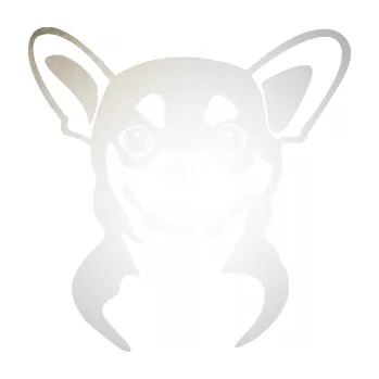 Polep vozidla SAMOLEPKA Pes 140 pravá čivava (82 - odrazková reflexní bílá) NA AUTO, NÁLEPKA, FÓLIE, POLEP, TUNING, VLASTNÍ TEXT, TISK, AUTOSAMOLEPKY.cz, POLEPY, OBRÁZEK, LOGO, SAMOLEPKY