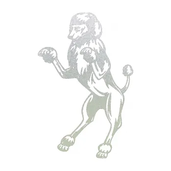 samolepka Pes 023 levá Pudl (60 - pískované sklo) SAMOLEPKA NA AUTO, NÁLEPKA, FÓLIE, POLEP, TUNING, VLASTNÍ TEXT, TISK, AUTOSAMOLEPKY.cz, POLEPY, OBRÁZEK, LOGO, 3D STICKERS