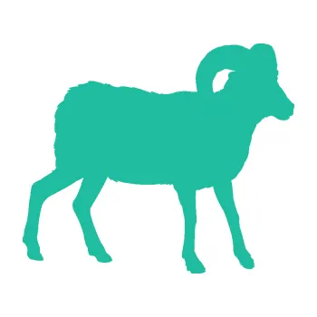 Samolepící dekorace SAMOLEPKA Kozel 004 pravá (25 - tyrkysová) NA AUTO, NÁLEPKA, FÓLIE, POLEP, TUNING, VLASTNÍ TEXT, TISK, AUTOSAMOLEPKY.cz, POLEPY, OBRÁZEK, LOGO, SAMOLEPKY