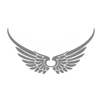 Samolepící dekorace SAMOLEPKA Křídla 008 (17 - šedá) NA AUTO, NÁLEPKA, FÓLIE, POLEP, TUNING, VLASTNÍ TEXT, TISK, AUTOSAMOLEPKY.cz, POLEPY, OBRÁZEK, LOGO, SAMOLEPKY