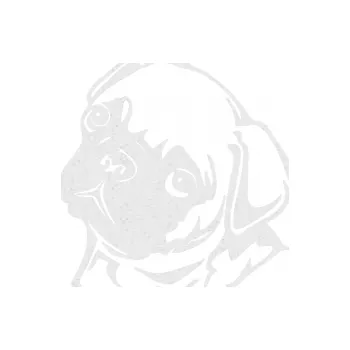 Polep vozidla SAMOLEPKA Pes 161 levá mops (84 - Ultra Metalic bílá) NA AUTO, NÁLEPKA, FÓLIE, POLEP, TUNING, VLASTNÍ TEXT, TISK, AUTOSAMOLEPKY.cz, POLEPY, OBRÁZEK, LOGO, SAMOLEPKY