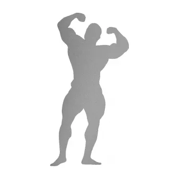 Polep vozidla Kulturista 003 levá (42 - stříbrná metalíza) SAMOLEPKA NA AUTO, NÁLEPKA, FÓLIE, POLEP, TUNING, VLASTNÍ TEXT, TISK, AUTOSAMOLEPKY.cz, POLEPY, OBRÁZEK, LOGO, 3D STICKERS