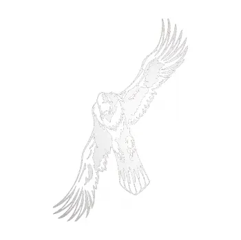 Samolepicí dekorace na vozidlo Predators 035 levá (82 - odrazková reflexní bílá) SAMOLEPKA NA AUTO, NÁLEPKA, FÓLIE, POLEP, TUNING, VLASTNÍ TEXT, TISK, AUTOSAMOLEPKY.cz, POLEPY, OBRÁZEK, LOGO, 3D STICKERS