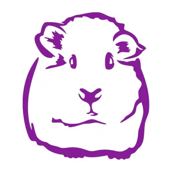 Samolepící dekorace Morče 001 pravá (14 - fialová) SAMOLEPKA NA AUTO, NÁLEPKA, FÓLIE, POLEP, TUNING, VLASTNÍ TEXT, TISK, AUTOSAMOLEPKY.cz, POLEPY, OBRÁZEK, LOGO, 3D STICKERS