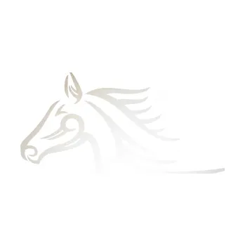 Samolepící dekorace SAMOLEPKA Kůň 081 levá hlava tattoo (82 - odrazková reflexní bílá) NA AUTO, NÁLEPKA, FÓLIE, POLEP, TUNING, VLASTNÍ TEXT, TISK, AUTOSAMOLEPKY.cz, POLEPY, OBRÁZEK, LOGO, SAMOLEPKY