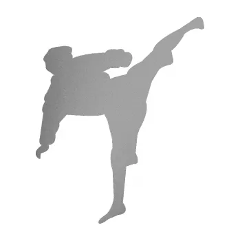 Polep vozidla Karate 009 pravá (42 - stříbrná metalíza) SAMOLEPKA NA AUTO, NÁLEPKA, FÓLIE, POLEP, TUNING, VLASTNÍ TEXT, TISK, AUTOSAMOLEPKY.cz, POLEPY, OBRÁZEK, LOGO, 3D STICKERS