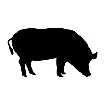 Samolepící dekorace SAMOLEPKA Prase 004 pravá (01 - černá) NA AUTO, NÁLEPKA, FÓLIE, POLEP, TUNING, VLASTNÍ TEXT, TISK, AUTOSAMOLEPKY.cz, POLEPY, OBRÁZEK, LOGO, SAMOLEPKY