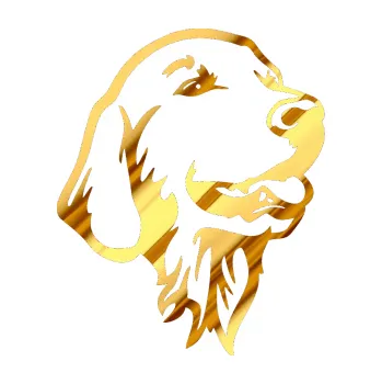 Polep vozidla Pes 074 pravá Zlatý retrívr (81 - chrom fólie zlatá zrcadlová) SAMOLEPKA NA AUTO, NÁLEPKA, FÓLIE, POLEP, TUNING, VLASTNÍ TEXT, TISK, AUTOSAMOLEPKY.cz, POLEPY, OBRÁZEK, LOGO, 3D STICKERS