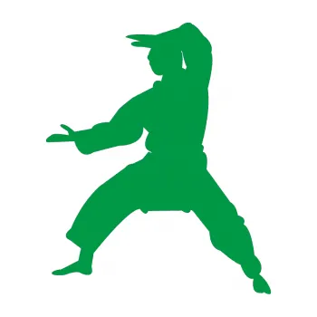 Polep vozidla Karate 006 levá (12 - zelená) SAMOLEPKA NA AUTO, NÁLEPKA, FÓLIE, POLEP, TUNING, VLASTNÍ TEXT, TISK, AUTOSAMOLEPKY.cz, POLEPY, OBRÁZEK, LOGO, 3D STICKERS