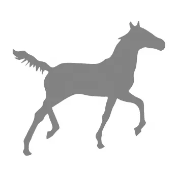Samolepící dekorace SAMOLEPKA Kůň 011 pravá (17 - šedá) NA AUTO, NÁLEPKA, FÓLIE, POLEP, TUNING, VLASTNÍ TEXT, TISK, AUTOSAMOLEPKY.cz, POLEPY, OBRÁZEK, LOGO, SAMOLEPKY