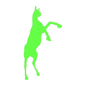 Samolepící dekorace SAMOLEPKA Kůň 016 pravá (71 - Fluorescentní zelená) NA AUTO, NÁLEPKA, FÓLIE, POLEP, TUNING, VLASTNÍ TEXT, TISK, AUTOSAMOLEPKY.cz, POLEPY, OBRÁZEK, LOGO, SAMOLEPKY